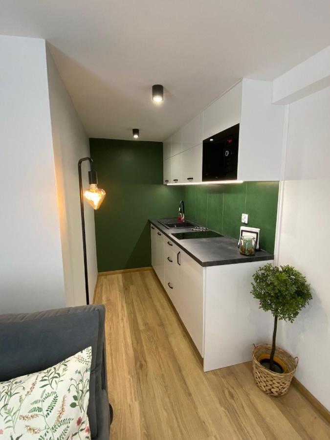 U Gazdy - Apartament Z Ogrodem I Tarasem , Przy Gondoli Szczyrk Dış mekan fotoğraf
